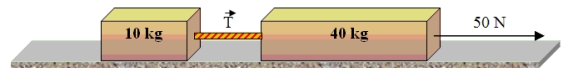 A 10-kg block is connected to a 40-kg block as shown in the figure. The surface on that the blocks slide is frictionless. A force of 50 N pulls the blocks to the right.   -What is the magnitude of the tension   in the rope that connects the two blocks? A) 0 N B) 10 N C) 20 N D) 40 N E) 50 N