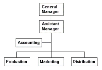 <strong>Organizational Chart 3.1 Refer to Organizational Chart 3.1.Which of the following can we accurately conclude from Organizational Chart 3.1?</strong> A) There should be no assistant manager. B) The company has a functional structure. C) The company has a divisional structure. D) The general manager has a span of control of five.