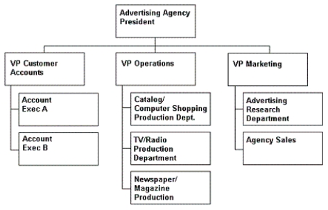 Organizational Chart 3.2    -Refer to Organizational Chart 3.2. Which of the following best describes the structure of this organization? A)  The structure is divisional. B)  There is duplication of activities between the customer accounts and marketing departments. C)  The structure is primarily functional. D)  Hierarchical referral is the best means for coordination in this organization.