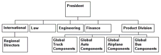 CHART 6.1    -Refer to Chart 6.1. Which structure is shown? A)  global geographic B)  global matrix C)  global product D)  global functional