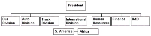 Chart 6.2    -Refer to Chart 6.2. How would you relate the structure diagrammed in organizational chart 6.2 to a global geographic structure? A)  The firm shown above is not as far along in developing opportunities for multidomestic strategy as the global geographic structure would be. B)  Product managers differ in that, in the chart above, the product heads are line managers primarily accountable for their product domestically, whereas, in the global geographic structure, product heads are staff advisers. C)  The structure shown is better than the global geographic structure. D)  The global geographic structure is more domestically oriented than the one above.