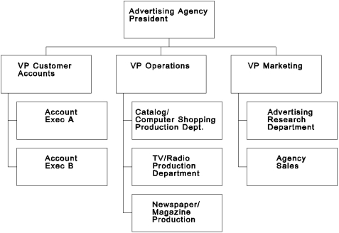   -Reference Organization Chart 3.1. Which of the following is correct? A)  The structure is divisional. B)  The structure is primarily functional. C)  The customer accounts section should be dissolved and made to report to marketing. D)  Hierarchical referral is the best means for coordination in this organization.