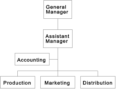   -Reference Organization Chart 3.2. The structure would bring strengths such as: A)  product responsibility is clear and simple. B)  economies of scale. C)  suitability for an unstable environment. D)  determining total cost of any given product is a straightforward hierarchical matter.