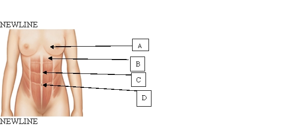 <strong>The nurse is assessing the abdomen of a client who is 20 weeks gestation. Which is the anticipated height of the fundus based on this data? </strong> A) A. B) B. C) C. D) D.
