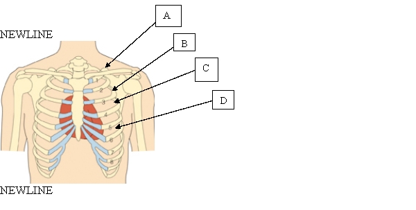 The nurse is performing a cardiac assessment and prepares to palpate the client's heartbeat on the client's chest. Which is the correct location for the nurse to use when conducting this assessment?   A)  A. B)  B. C)  C. D)  D.
