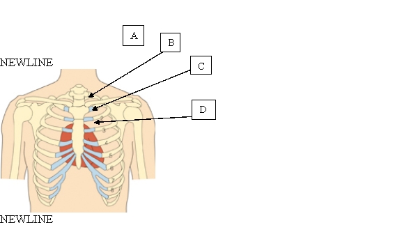 The nurse is reviewing the client's medical record and notes a consistently elevated blood pressure over the last eight years. The client has been noncompliant with lifestyle changes and medication use designed to reduce the client's blood pressure. Today, the nurse is able to palpate a heave on the client's chest. Where is the heavelocated?     A)  A. B)  B. C)  C. D)  D.