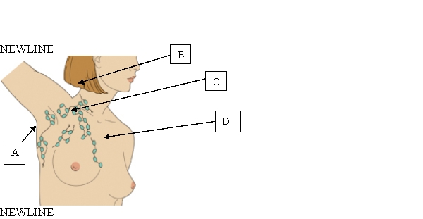 The nurse is evaluating the risk for metastasis after a client is diagnosed with breast cancer. Which lymph node involvement would indicate the greatest likelihood of metastasis for this client?   A)  A. B)  B. C)  C. D)  D.