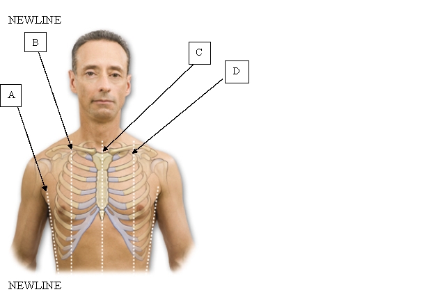 The nurse is conducting an assessment. Where is the right anterior axillary line (ALL)  located?   A)  A. B)  B. C)  C. D)  D.