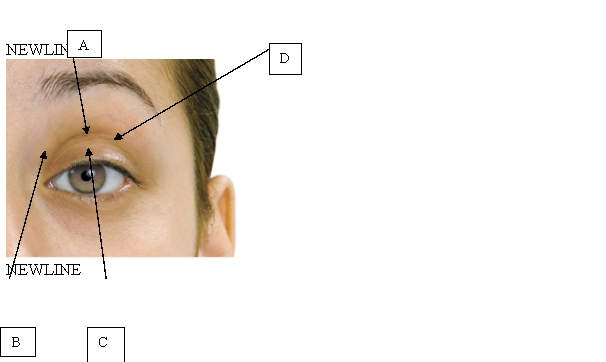 The nurse is assessing the client's corneal reflex. Which is the correct location for assessing the presence of this reflex?   A)  A. B)  B. C)  C. D)  D.