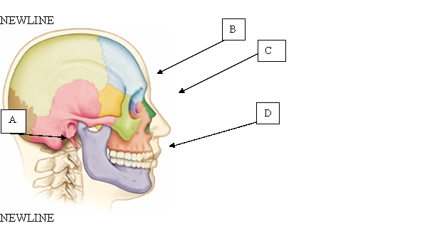 The nurse is assessing the client's neck. Where is the axis located?   A)  A. B)  B. C)  C. D)  D.