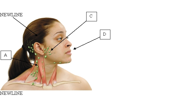 Which location would the nurse use for palpation when assessing the submental lymph node during a physical assessment?     A)  A. B)  B. C)  C. D)  D.