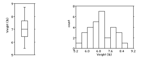 Shown below are the boxplot and the histogram for the weights (in pounds) of 30 newborn babies in the U.S.A..   i.What features of the distribution can you see in both the histogram and the boxplot? ii.What features of the distribution can you see in the histogram that you could not see in the boxplot? A) i) The distribution is bimodal and symmetric.There are two outliers at about 5.4 and 8.6.The mean and median values are about the same. ii.The dip at about 7.4 lb,for example,is apparent only from the histogram. B) i) The distribution is unimodal and skewed to the right.There are no outliers.The mean is greater than the median. ii.The dip at about 7.4 lb,for example,is apparent only from the histogram. C) i) The distribution is unimodal and symmetric.There are two outliers at about 5.4 and 8.6.The mean and median values are about the same. ii.The dip at about 7.4 lb,for example,is apparent only from the histogram. D) i) The distribution is unimodal and skewed to the left.There are no outliers.The mean is less than the median. ii.The dip at about 7.4 lb,for example,is apparent only from the histogram. E) i) The distribution is unimodal and symmetric.There are no outliers.The mean and median values are about the same. ii.The dip at about 7.4 lb,for example,is apparent only from the histogram. 