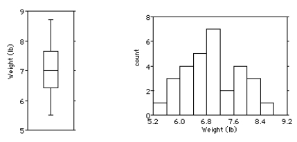 Shown below are the boxplot,the histogram and summary statistics for the weights (in pounds) of 30 newborn babies:     Write a few sentences describing the distribution. A) The distribution is unimodal and symmetric.There are no outliers.The mean newborn baby weight was 6.9 lb with a standard deviation of 0.8 lb. B) The distribution is unimodal and symmetric.There are no outliers.The mean newborn baby weight was 7 lb with a standard deviation of 1.3 lb. C) The distribution is unimodal and skewed to the right.There are no outliers.The mean newborn baby weight was 7 lb with an IQR of 1.3 lb. D) The distribution is bimodal and symmetric.There are no outliers.The mean newborn baby weight was 6.9 lb with a standard deviation of 0.8 lb. E) The distribution is unimodal and skewed to the left.There are no outliers.The mean newborn baby weight was 7 lb with an IQR of 1.3 lb.