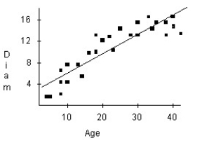A forester would like to know how big a maple tree might be at age 50 years.She gathers data from some trees that have been cut down,and plots the diameters (in inches)of the trees against their ages (in years).First she makes a linear model.The scatterplot and residuals plot are shown.Describe the association shown in the scatterplot.      