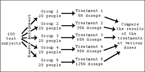 <strong>A pharmaceutical company will be testing a new one-dosage fits all medication for treating depression.The pharmaceutical company has 100 willing test subjects that will undergo a 30-day,double-blind experiment.The experiment uses the following diagram as a guide for administering the medication at various doses,from 5% to 125%.   What is the most obvious factor missing from this proposed experiment?</strong> A)A control group B)A 100% dosage C)Stratifying must be used. D)Blocking must be used. E)Nothing is missing.Basic variations have been accounted for. <div style=padding-top: 35px> 