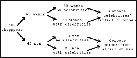 <strong>A clothing manufacturer is curious if celebrity endorsements will influence a customer's decision in buying its products.This clothing manufacturer premieres its latest series of commercials privately to two separate groups of potential shoppers.One group will see a series of commercials without celebrities,and one group will see a series of commercials with celebrities.Furthermore,the manufacturer decides to split up the male shoppers from the female shoppers.   Grouping the shoppers together by gender is an example of what?</strong> A)Stratifying B)Matching C)Reduction of confounding factors D)Factoring E)Blocking <div style=padding-top: 35px> 