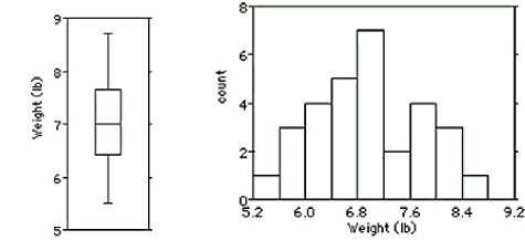  Shown below are the boxplot,the histogram and summary statistics for the weights (in pounds) of 30 newborn babies:    \begin{array} { c | c | c | c | c | c | c | c }  \text { Count } & \text { Mean } & \text { Median } & \text { StdDev } & \text { Min } & \text { Max } & \text { Q1 } & \text { Q3 } \\ \hline 30 & 6.9 & 7.0 & 0.8 & 5.5 & 8.7 & 6.4 & 7.7 \end{array}  Write a few sentences describing the distribution. A) The distribution is unimodal and symmetric.There are no outliers.The mean newborn baby weight was  6.9 \mathrm { lb }  with a standard deviation of 0.8 lb. B) The distribution is unimodal and symmetric.There are no outliers.The mean newborn baby weight was  7 \mathrm { lb }  with a standard deviation of 1.3 lb. C) The distribution is unimodal and skewed to the right.There are no outliers.The mean newborn baby weight was  7 \mathrm { lb }  with an IQR of 1.3 lb. D) The distribution is bimodal and symmetric.There are no outliers.The mean newborn baby weight was  6.9 \mathrm { lb }  with a standard deviation of 0.8 lb. E) The distribution is unimodal and skewed to the left.There are no outliers.The mean newborn baby weight was  7 \mathrm { lb }  with an IQR of 1.3 lb. 