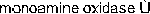 <strong>Nicotine reduces the effects of , which normally breaks down dopamine after it has been released.</strong> A) monoamine oxidase A B) monoamine oxidase ß C) monoamine oxidase I D)