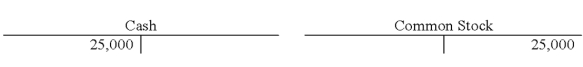 The Horowitz Corporation recorded a business event using T-accounts as follows: Which of the following reflects how this event affects the company's financial statements?             