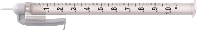 What type of syringe is pictured in this image?   