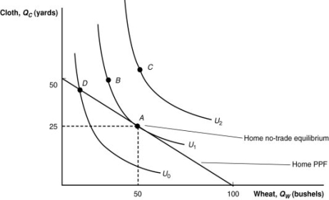 (Figure: Home Equilibrium with No Trade)  Suppose that trade occurs and Home finds its comparative advantage in the production of wheat. How many bushels of wheat will it produce?   A)  0 bushels B)  50 bushels C)  100 bushels D)  between 50 and 100 bushels