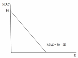 In the following figure,the marginal abatement cost of abating the 20<sup>th</sup> unit of emissions is _______.   A) $40 B) $200 C) $400 D) impossible to determine from the information provided