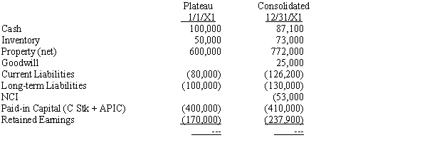 Plateau Company acquires an 80% interest in Seagull Company for $200,000 cash on January 1, 20X1. On that date, Seagull's equipment is undervalued by $25,000; any excess of cost over book value is attributed to goodwill. Seagull's balance sheet on the date of the purchase is as follows:    The controlling interest in consolidated net income for 20X1 is $97,900; the noncontrolling interest is $6,000. During the year Plateau retired long-term debt by issuing common stock. Dividends declared and paid during the year by Plateau and Seagull were $30,000 and $15,000, respectively. During the year Seagull sold equipment with a book value of $30,000 for a gain of $3,000; there were no purchases of property, plant, or equipment during the year.    Required: Prepare a statement of cash flows using the indirect method for Plateau Company and its subsidiary for the year ended December 31, 20X1.