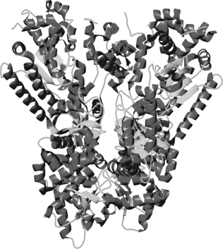 Which of the following methods is used to generate the structure shown below?   A)  scanning probe microscopy B)  scanning electron microscopy C)  transmission electron microscopy D)  confocal microscopy E)  X-ray crystallography