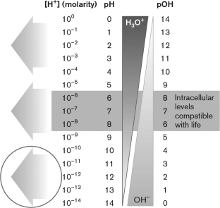 Which of the following grows in the indicated pH range shown in the figure below?   A)  psychrophiles B)  mesophiles C)  piezophiles D)  alkaliphiles E)  acidophiles
