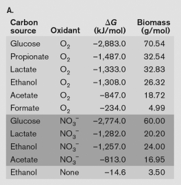 Using the table below, what is the best method for obtaining energy from catabolizing ethanol, and why?   A)  the catabolism of ethanol without an oxidant, because the DG is almost positive B)  the oxidation of ethanol with   as the oxidant is because of the large yield of energy released C)  the oxidation of ethanol with oxygen, because the DG is the largest negative number indicating the large yield of energy released. D)  The oxidation of ethanol yields too little biomass to be catabolized. E)  None-ethanol can only be catabolized syntrophically.