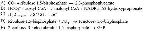 Rubisco catalyzes which of the following reactions?