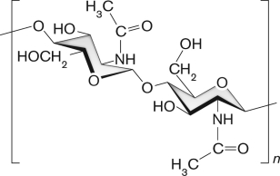 The structure below represents the polysaccharide ________, which is the main component of cell walls in ________.   A)  cellulose; Viridiplantae B)  murein; bacteria C)  chitin; fungi D)  starch; photosynthetic protists E)  hyaluronic acid; animals