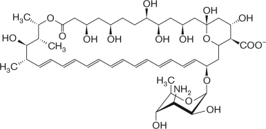 What does the figure below represent?   A)  amphotericin B B)  clotrimazole C)  nystatin D)  penicillin E)  cephalosporin