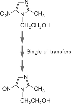 Explain the activation of metronidazole using the figure below.   