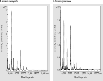 The figure below shows the mass to charge ratios of two pathogenic Neisseria sp. The molecule being measured is ________ and the technique being used is ________.   A)  protein; riboswitch sensor B)  protein; MALDI-TOF-MS C)  DNA; riboswitch sensor D)  DNA; MALDI-TOF-MS E)  RNA; riboswitch sensor