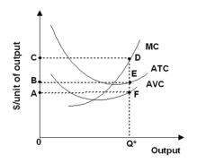   -Refer to the graph above.The line segment OC represents A)  the average variable cost of producing output level Q*. B)  the average total cost of producing output level Q*. C)  the marginal cost of producing the last unit of output,when total output is equal to Q*. D)  the total cost of producing output level Q*. E)  the average fixed cost of producing output level Q*.