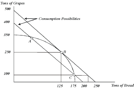 The following graph shows annual production and consumption possibilities for North Eastwood,a country in which only grapes and bread are consumed.   -If North Eastwood has a closed economy and is producing 125 tons of bread,its citizens will be able to consume ___________ tons of grapes. A)  100 B)  250 C)  more than 250 but fewer than 350 D)  350 E)  500