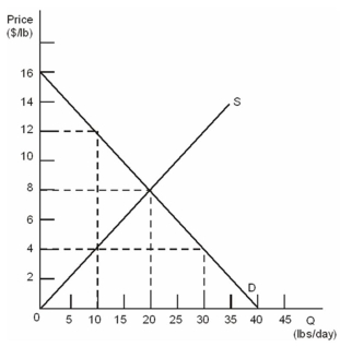 Daily Supply and Demand: Oranges in Hurricane Alley   Refer to the figure above.If the supplier sells the tenth pound of oranges to the most eager buyers for $8,the seller is _____ better off than before and the buyer is ______ better off than before. A) $8;$0 B) $6;$2 C) $4;$4 D) $2;$6