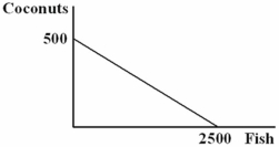 You are the Minister of Trade for a small island country in the South Pacific with the following annual production possibilities curve:   You are negotiating a deal with a neighboring island that has the following annual PPC:   Refer to the figure above.As soon as you see the other island's PPC,you realize: A) there will be no trade because the other island has the same comparative advantage as yours. B) there will be no trade because there is no difference in your ability to harvest coconuts. C) there will be no trade because the other island has an absolute advantage. D) your island will have to specialize in coconuts if it wants to gain from trade.