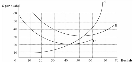 This graph shows the cost functions of Moe's mushroom gathering business,which is perfectly competitive.   Moe's short run supply curve is A)  Curve C to the right of curve A B)  Curve B to the right of curve A C)  Curve A above curve B D)  Curve A above curve C