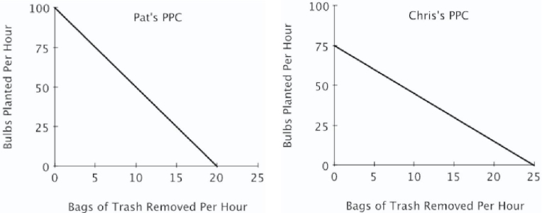 <strong>Refer to the figure below.For Pat, the opportunity cost of planting one bulb is removing: </strong> A)20 bags of trash. B)5 bags of trash. C)1/20 of a bag of trash. D)1/5 of a bag of trash.
