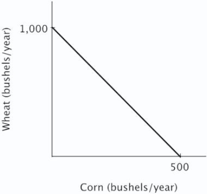 <strong>Refer to the figure below.The opportunity cost of producing one bushel of wheat is: </strong> A)2 bushels of corn. B)½ of a bushel of corn. C)1,000 bushels of corn. D)500 bushels of corn.