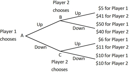 Player 1 and Player 2 are playing a game in which Player 1 has the first move at A in the decision tree shown below. Once Player 1 has chosen either Up or Down, Player 2, who can see what Player 1 has chosen, must choose Up or Down at B or C. Both players know the payoffs at the end of each branch.   If Player 2 could make a credible commitment to choose either Up or Down when his or her turn came, then what would Player 2 do? A) Player 2 would not commit to choosing either strategy. B) Player 2 would commit to choosing Up. C) Player 2 would commit to choosing Down. D) Player 2 would commit to mimicking Player 1's strategy.