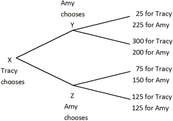 Tracy and Amy are playing a game in which Tracy has the first move at X in the decision tree shown below. Once Tracy has chosen either the top or bottom branch at X, Amy, who can see what Tracy has chosen, must choose the top or bottom branch at Y or Z. Both players know the payoffs at the end of each branch.   If before Tracy chose, Amy could make a credible commitment to choose either the top or bottom branch when her turn came, then Amy would commit to the ______ branch and Tracy would choose the ______ branch. A) top; top B) bottom; bottom C) top; bottom D) bottom; top