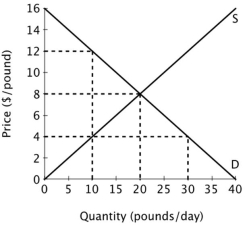 The figure below shows the supply and demand curves for oranges in Smallville.   At a price of $4 per pound there will be an excess ______ of ______ pounds of oranges per day. A) supply; 20 B) demand; 30 C) supply; 10 D) demand; 20