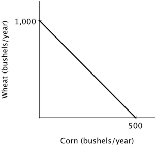 Refer to the figure below. It is efficient for this farmer to:   A) grow 500 bushels of wheat and 500 bushels of corn. B) grow 250 bushels of wheat and 500 bushels of corn. C) grow 500 bushels of wheat and 250 bushels of corn. D) grow 1000 bushels of wheat and 500 bushels of corn.