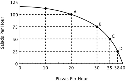 Refer to the figure below. Relative to point B, at point C this restaurant is:   A) making more pizzas and more salads. B) making more pizzas and fewer salads. C) making fewer pizzas and more salads. D) operating more efficiently.