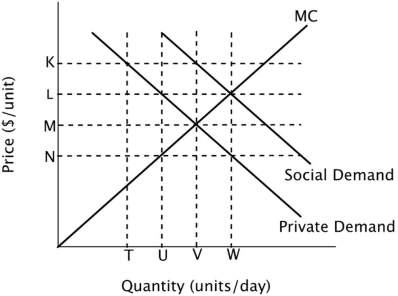 Refer to the figure below. The socially optimal quantity in this market could be achieved by imposing a ______ equal to the vertical distance ______.   A) tax; LN B) subsidy; LN C) tax; LM D) subsidy; LM