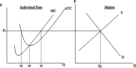 When the price is P1, in order to maximize profits this firm must produce a quantity equal to   A) q<sub>1</sub>. B) q<sub>2</sub>. C) q<sub>3</sub>. D) Q<sub>1</sub>.