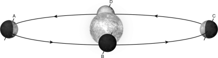 The following figure shows Earth's orbit around the Sun.Which position corresponds to summer in the Northern Hemisphere?   A)  A B)  B C)  C D)  D